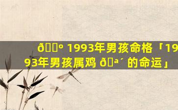 🌺 1993年男孩命格「1993年男孩属鸡 🪴 的命运」